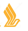 Singapore Airelines